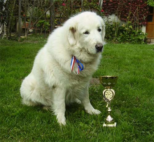 Brixie pod Kocno im Grünen mit ihrem Pokal